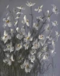 Des fleurs blanches de rêve