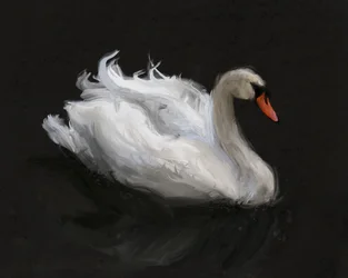 Un cygne blanc gracieux