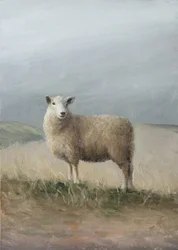 Moutons de pâturage