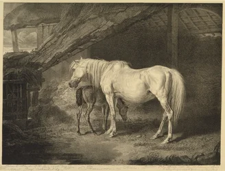 Primevère et poulain, de Chevaux célèbres, une série de quatorze gravures de courses publiées par l