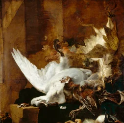 Nature morte au cygne mort, vers 1651