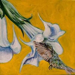 Colibri, 2023