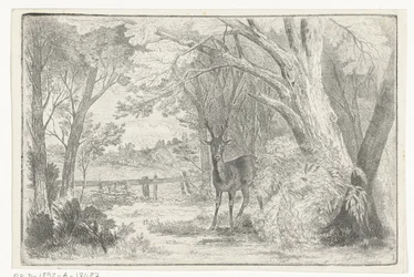 Paysage de parc avec cerf