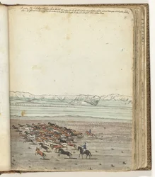 Troupeau de chevaux