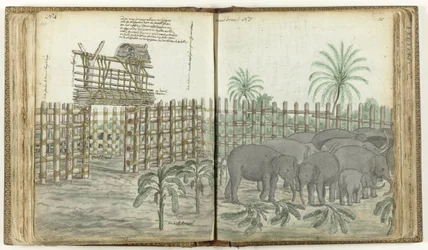 Enclos de jeu et de broyage des éléphants