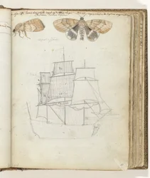 Papillon et navire