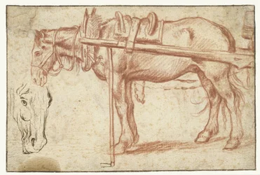 Cheval devant une charrette et une tête de cheval