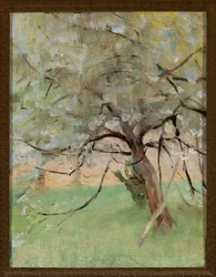 Pommier
