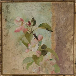 Fleurs de pommier