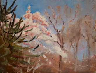 Le brochet (printemps)