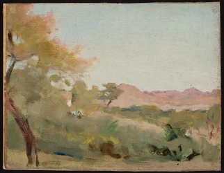 Udaipur - paysage indien. D