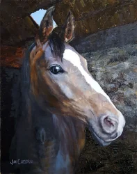 Cheval dans l