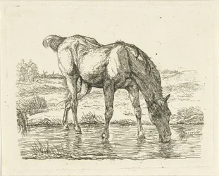 Cheval buvant