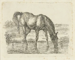 Cheval buvant