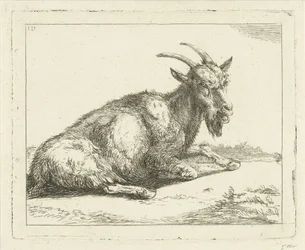 Chèvre