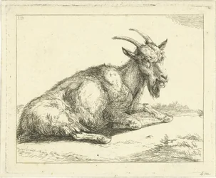 Chèvre