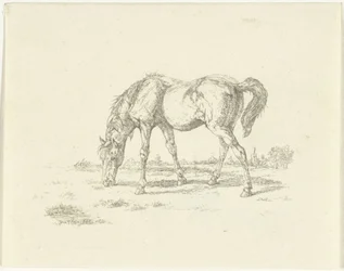 Cheval broutant vers la droite
