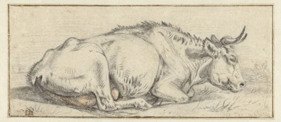 Vache couchée