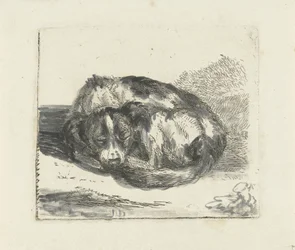 Chien endormi