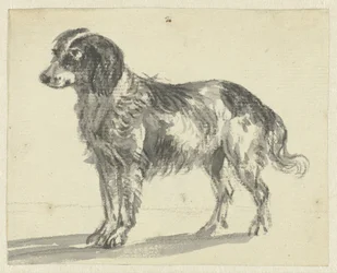 Chien debout