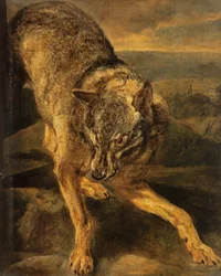 Un loup
