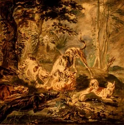 Chasse au Renard