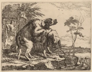 Deux chiens copulant