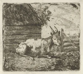 Bouc près d