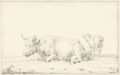 Vache couchée vers la gauche et mouton à droite