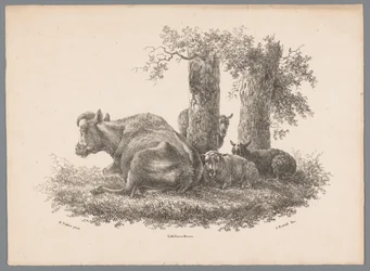 Une vache et trois moutons