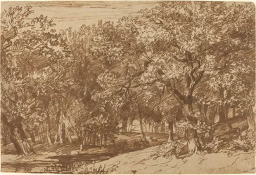 Parc aux cerfs