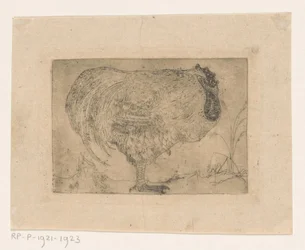 Coq recroquevillé