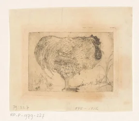 Coq recroquevillé