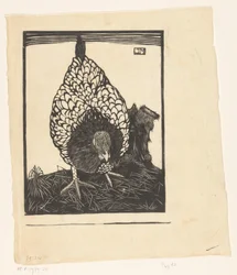 Zilverwyandotte