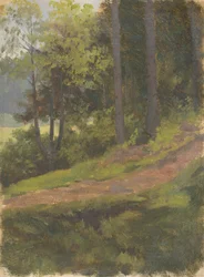 Chemin au bord de la forêt