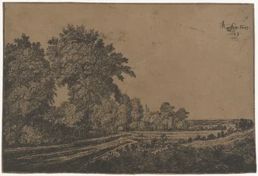 Chemin de campagne avec arbres