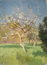 Pommier en fleur