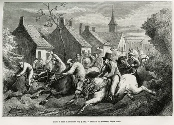 Course de bœufs à Braesschaet, village de polder, pour célébrer l