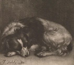 Un chien endormi