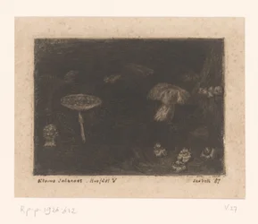Champignons