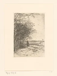 Femme dans un paysage