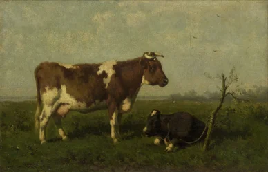 Une vache avec son veau dans un pré