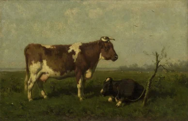 Une vache et son veau dans un pré