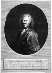 Herman Boerhaave, gravé par Jacobus Houbraken