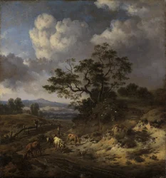Paysage vallonné avec vaches