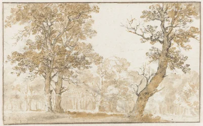 Forêt de La Haye