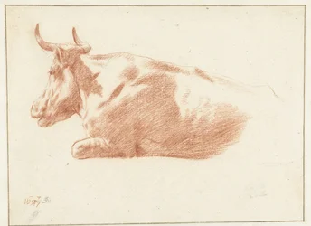 Vache couchée