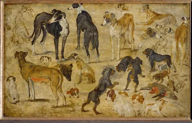 Études animales (peinture sur bois de chêne)