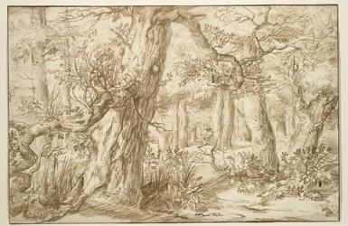 Intérieur de forêt avec dessinateur, vers 1664