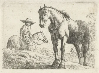 Un cheval, un homme à cheval en arrière-plan